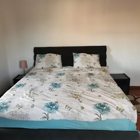 Casa In Regim Hotelier Dofteana