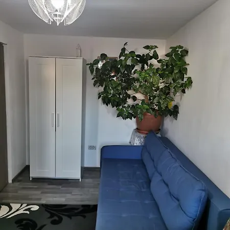 Casa In Regim Hotelier Dofteana